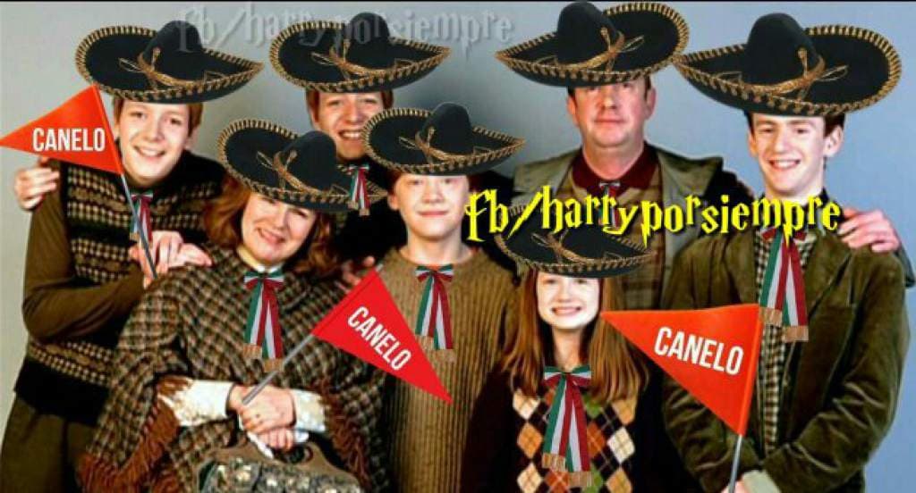 Las redes sociales vibraron con la pelea entre Saúl "Canelo" Álvarez y Gennady Golovkin. Te dejamos los mejores memes del combate.