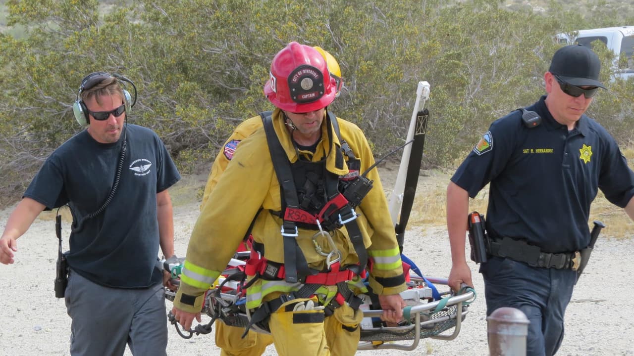 Transportan las herramientas para estabilizar al caballo y poder trasladarlo por el aire.