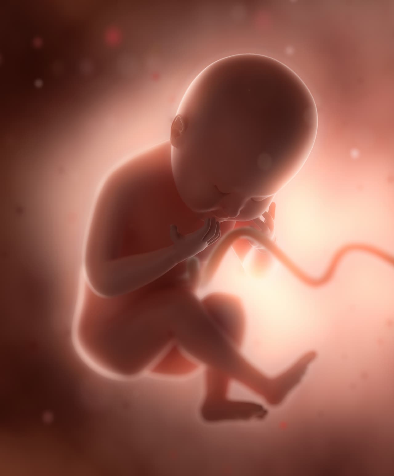 Los trastornos del espectro autista (TEA) son un grupo de discapacidades del desarrollo, aún no se conocen sus causas. Según los CDC, es posible que influyan factores ambientales, biológicos y genéticos.