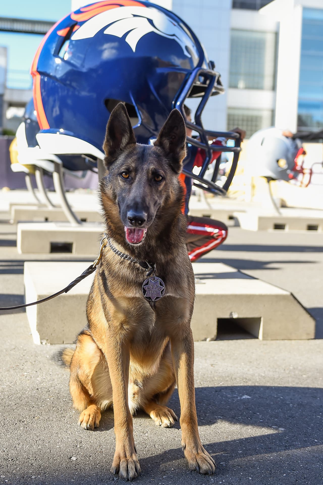 Con motivo del aniversario 50 del juego más importante en la NFL, la ciudad de San Francisco nos muestra lo mejor que tiene para esta celebración, he aquí las mejores imágenes.