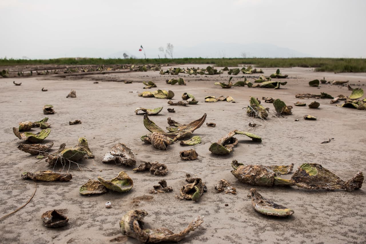 Las obras han comenzado a dejar estragos en Atenco.