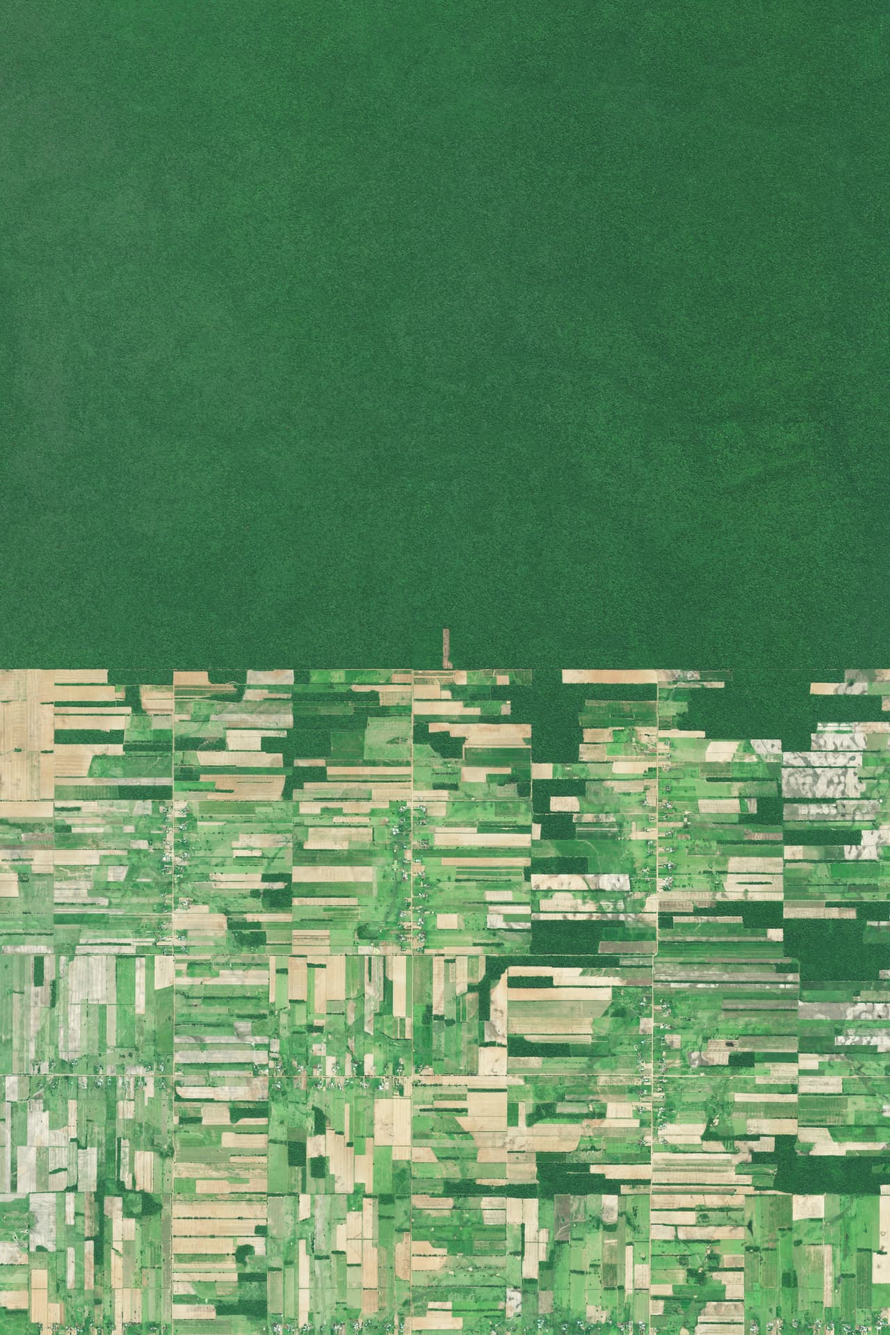 El avance de la deforestación en Santa Cruz, Bolivia.