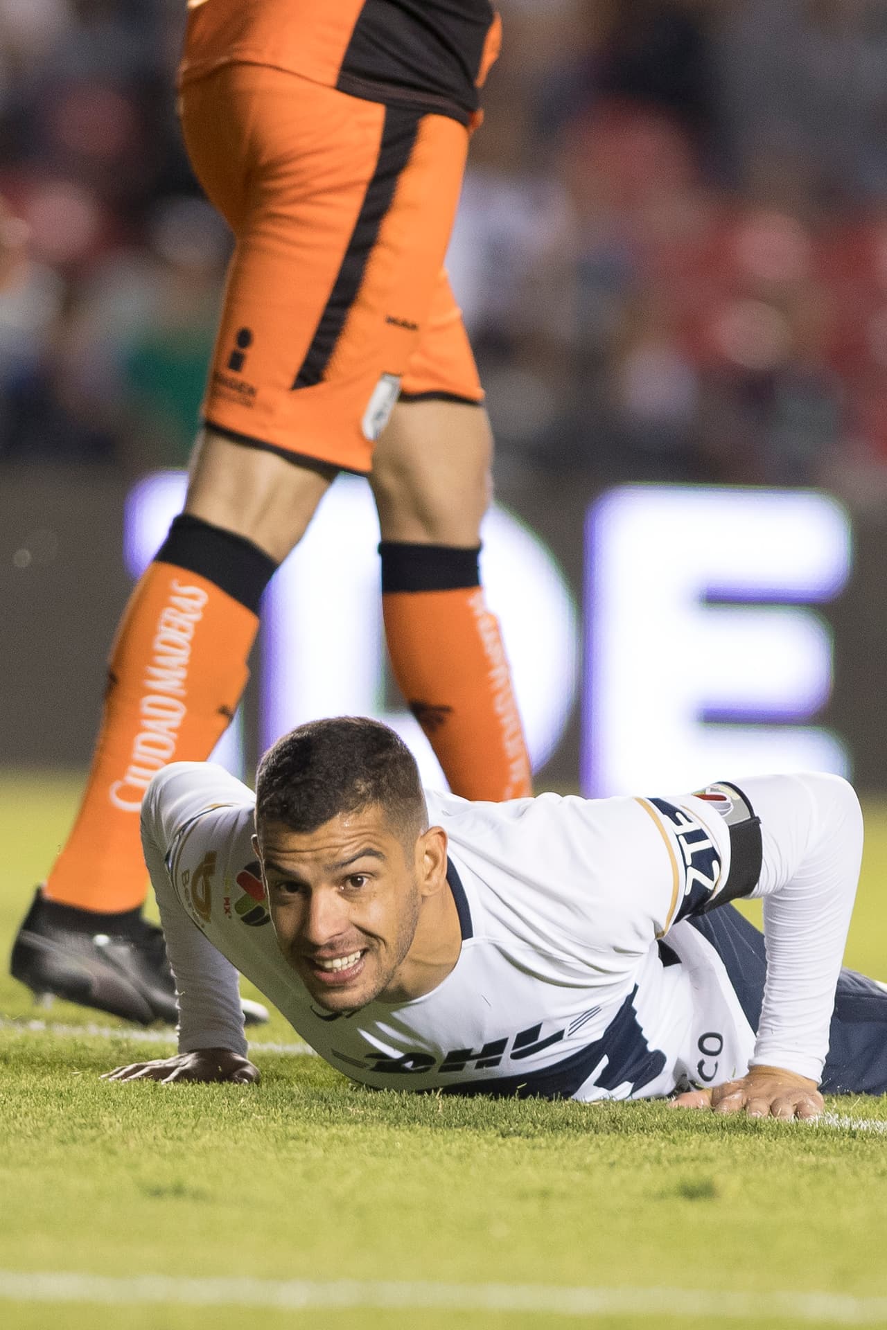 Los Pumas cerraron uno de los peores torneos en su historia al empatar 1-1 contra los Gallos de Querétaro.