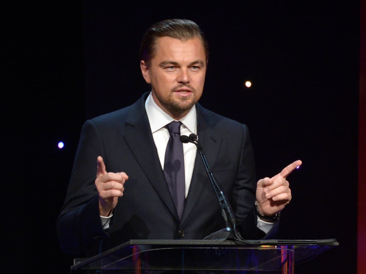 Mira más fotos de Leonardo DiCaprio.