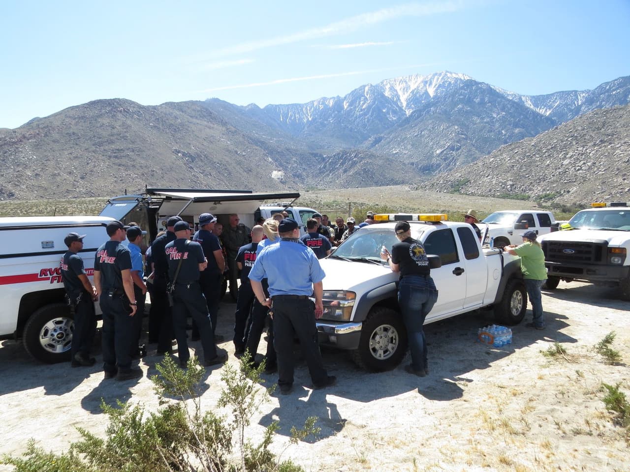 Los bomberos preparan la estrategia para rescatar al equino.