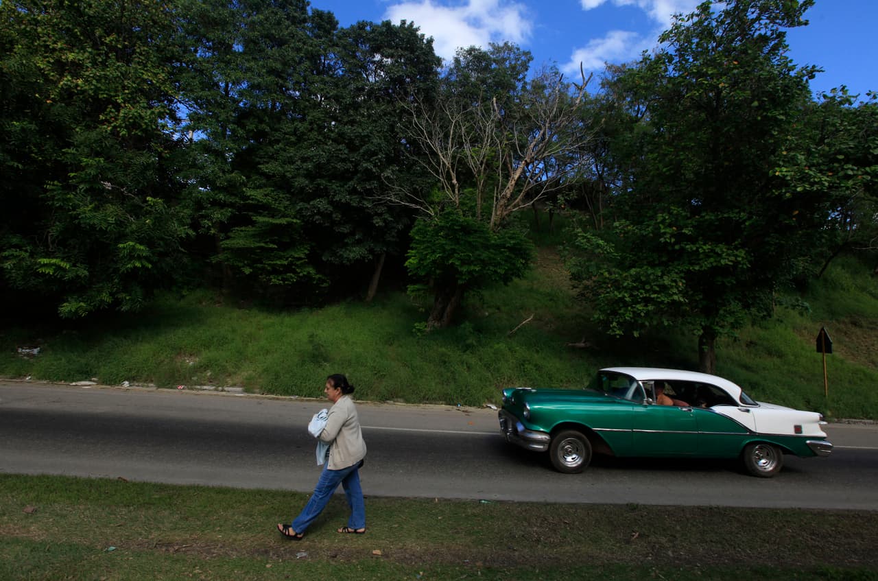 Anumá, en brazos de la bióloga Marta Llanes en una calle de la Habana. Es un trabajo de tiempo completo, y la bióloga es una experta. 18 de enero de 2016.