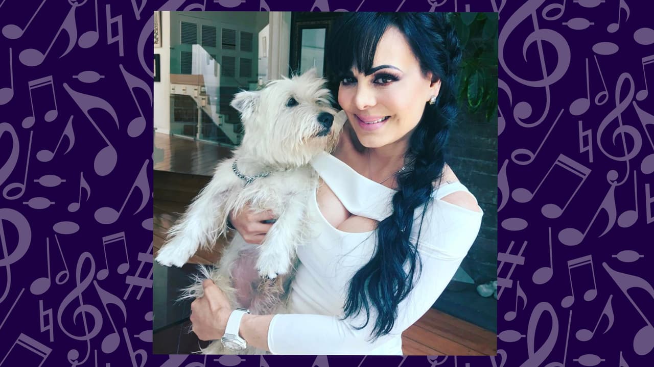 Maribel Guardia tiene 58 años de edad. Sí, leyeron bien. 58. El espectacular cuerpo de esta mujer es algo a lo cual nunca nos vamos acostumbrar. Y lo que es peor, la cantante y actriz se convertirá en abuela muy pronto. Su único hijo, José Julián Figueroa, quien tuvo con el fallecido Joan Sebastian, se convertirá en padre en el mes de mayo. José Julián sólo tiene 21 años, pero desde ya está haciendo que Maribel sea una mujer muy feliz.