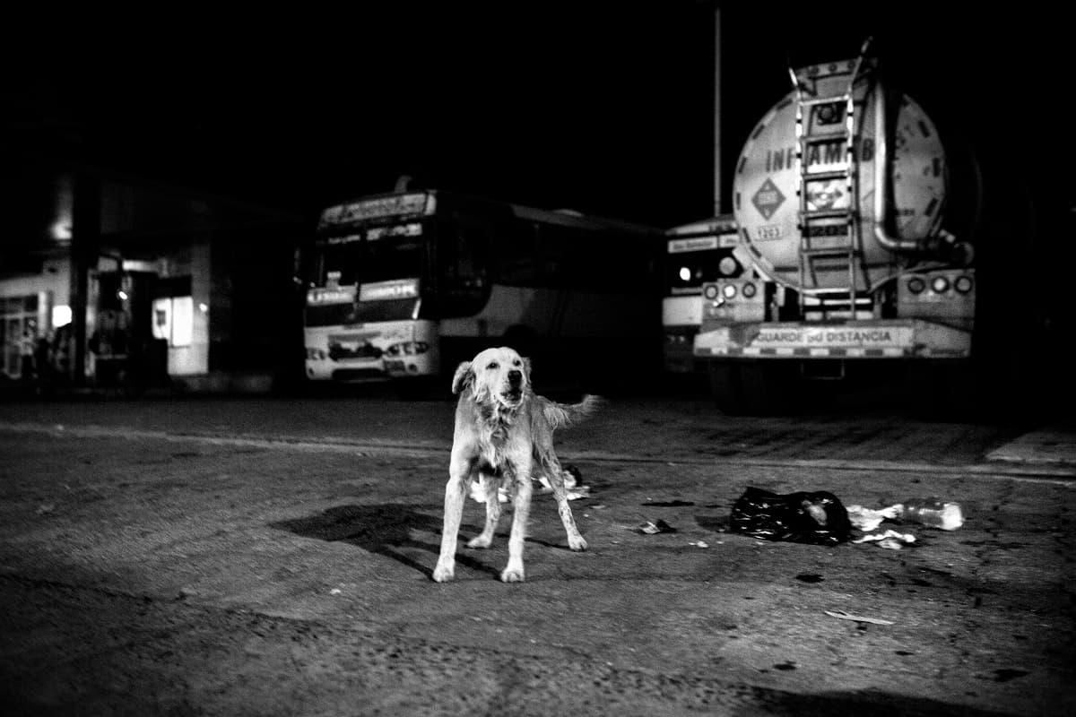 Un perro ladra en una gasolinera del barrio San Jacinto de San Salvador. En ese mismo lugar, en la tarde del 23 de mayo de 2017 una pareja en motocicleta se detuvo para poner gasolina cuando miembros de una pandilla los secuestrados y asesinaron minutos después en un callejón cercano. Un vecino de la zona sospecha que los pandilleros pensaron que el hombre pertenecía a la pandilla rival por los zapatos que llevaba.