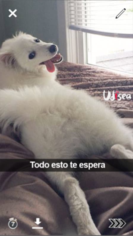 Las fotos sugerentes siempre, siempre serán las que predominan en la app.