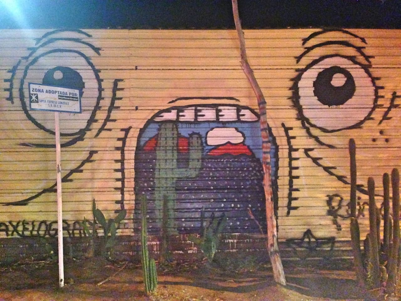 El cerco fronterizo ha sido el lienzo para expresiones de todo tipo.