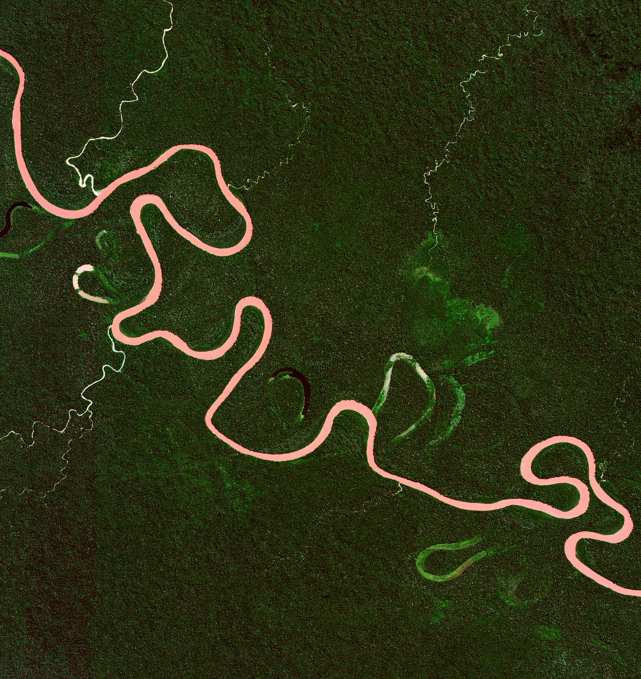 El río Madre de Dios, en la selva peruana.