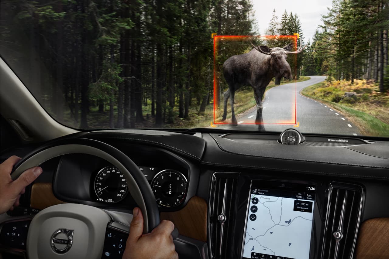 La Volvo V90 Cross Country 2017 cuneta con un sistema de detección de animales grandes, el cual puede ser muy útil a la hora de recorrer vías boscosas.