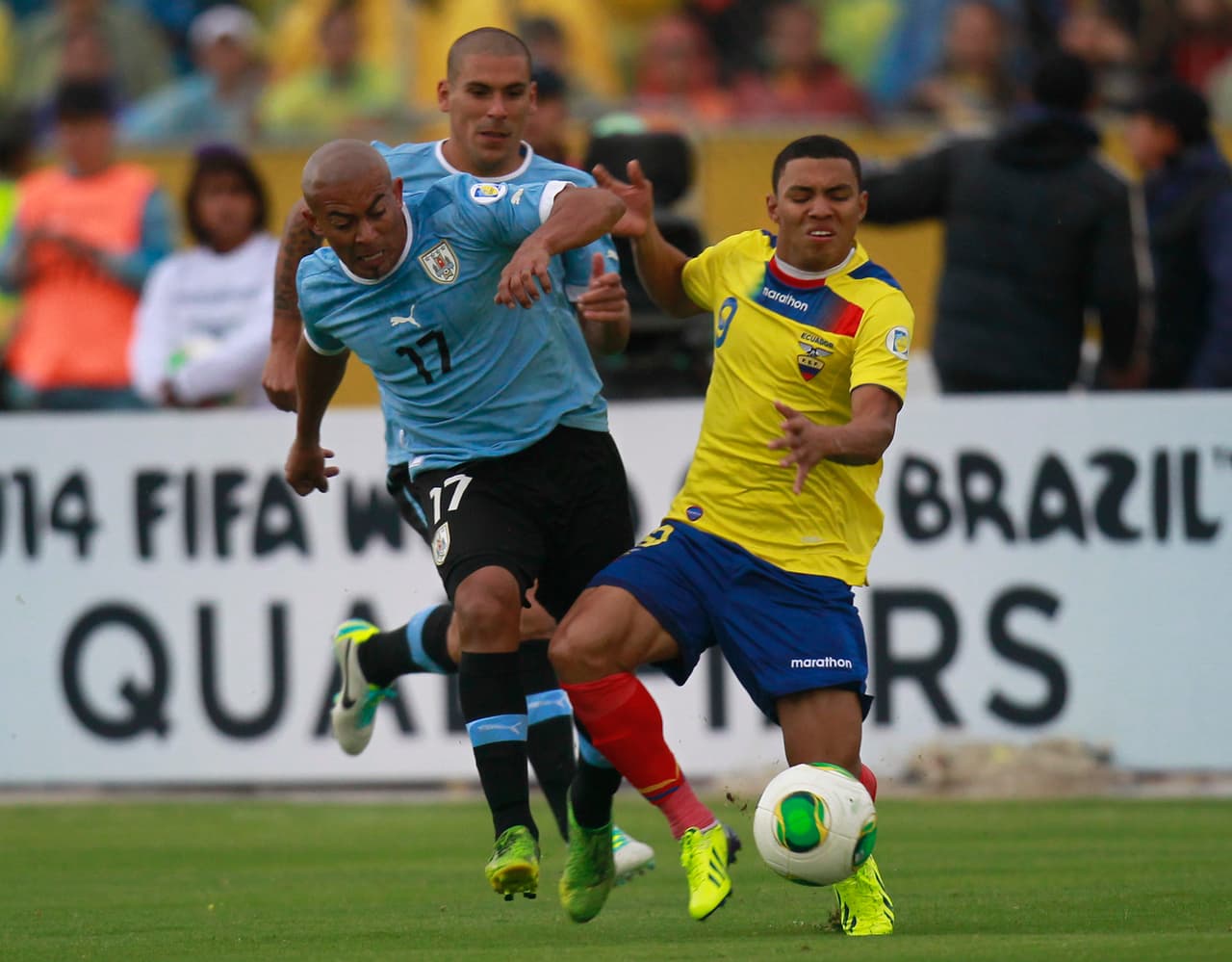 Nombre: Egidio Arévalo Rios. Posición: Mediocampista. Edad: 34 años. Club: Atlas (México). Veces seleccionado: 76. Descripción: Egidio está nacionalizado mexicano y juega como centrocampista en el Atlas de México. Llegó a disputar el mundial de Sudáfrica y de Brasil con la selección uruguaya, lo llaman El Cacha o el "pequeño gigante" y es otro de los veteranos claves de la selección charrúa.