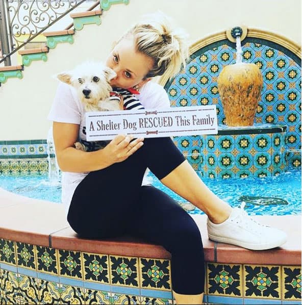 También predica que hay que adoptar, no comprar mascotas.