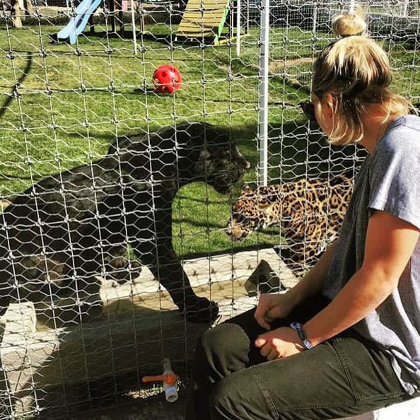 Kaley también visitó un famoso albergue de jaguares, tigres y leones en México.