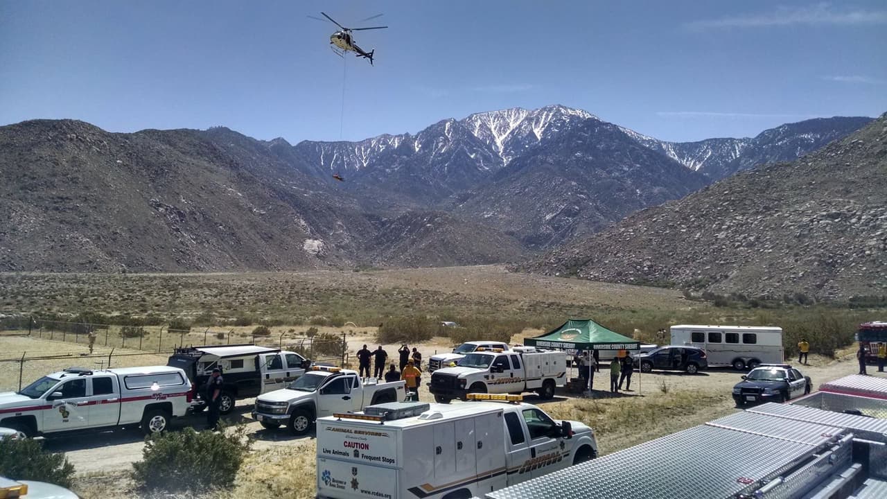 El helicóptero despega de la zona donde se encuentra el centro de operaciones.