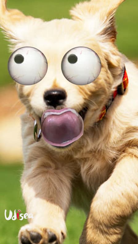 Si no eres guapo, por suerte hay filtros que esconden casi todo tu rostro.