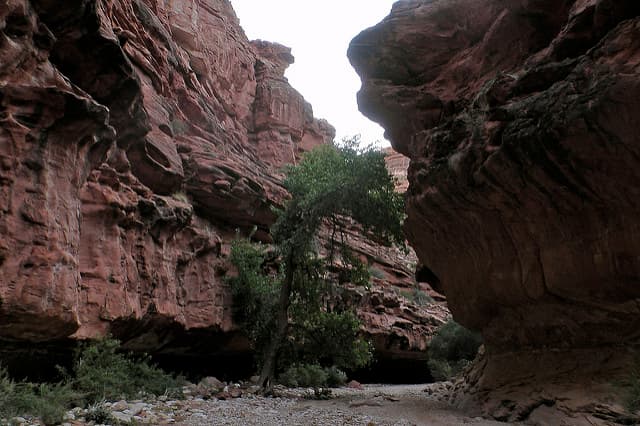 La única manera de llegar a las cascadas es a pie o en mula.