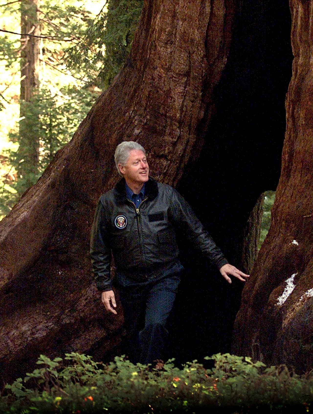 En el 2000 el presidente Bill Clinton decretó el Giant Sequoia National Monument.