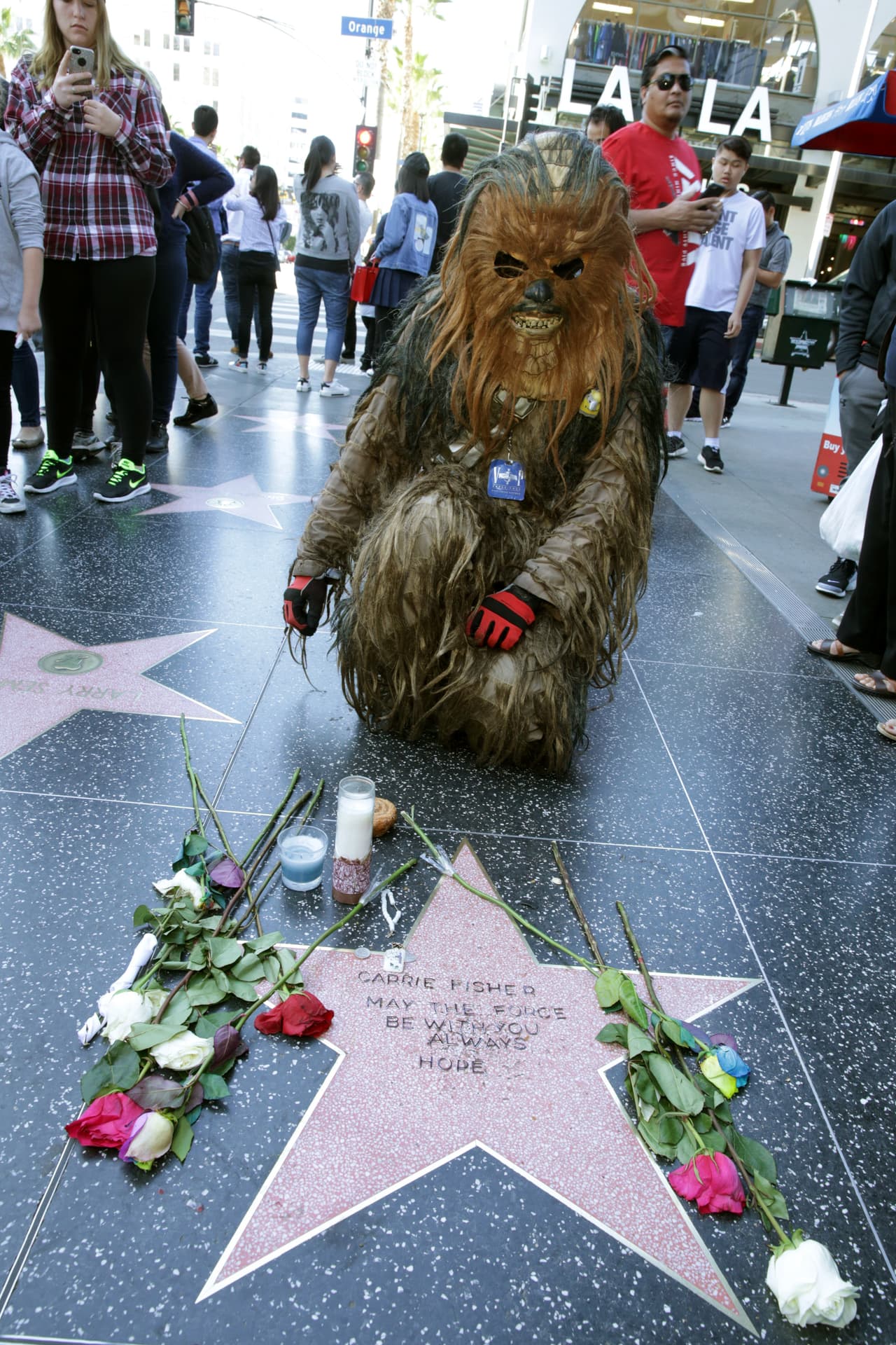 Carrie Fisher murió el pasado martes, a los 60 años. No tenía una estrella en el Paseo de la fama de Hollywood y un fan desconocido improvisó con esta, que se ha convertido en punto de encuentro.