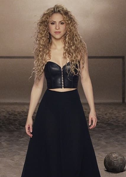 “Estamos muy complacidos y gratificados en nombre de Sony y los escritores originales, El Cata y Shakira”, expresó el representante de Sony, Barry Slotnick, tras conocer la decisión de las autoridades, así lo reportó la agencia Reuters.