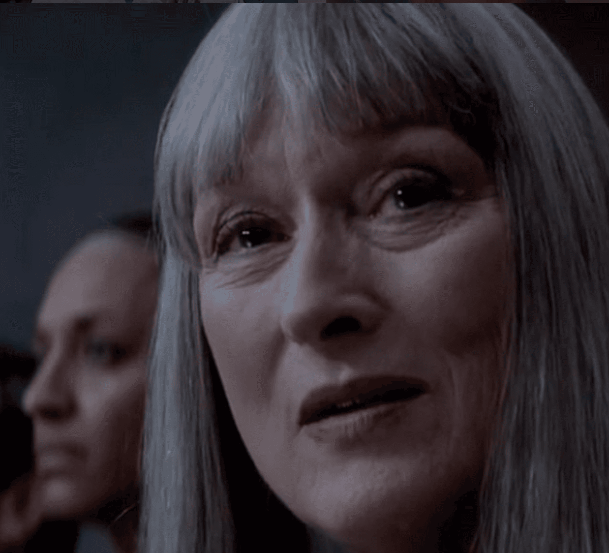 <b>Chief Elder</b>
<br>Aunque 'The Giver' no fue una de las películas más taquilleras o mediáticas de esta actriz, Streep mostró una vez más su versatilidad para interpretar personajes en contextos que solo la ciencia ficción puede imaginar.