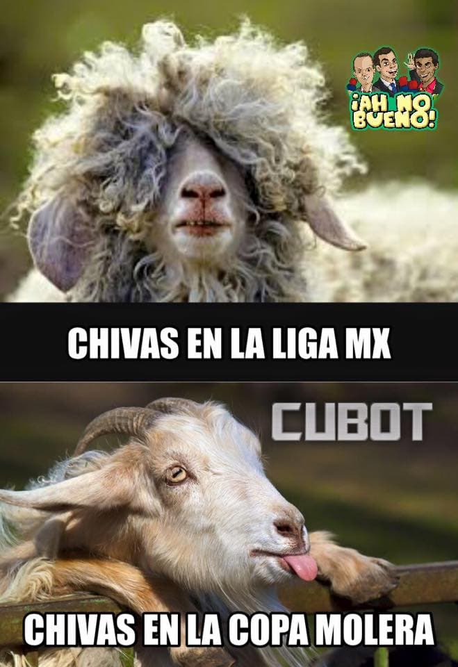 Memes del campeonato de Chivas en la Copa MX