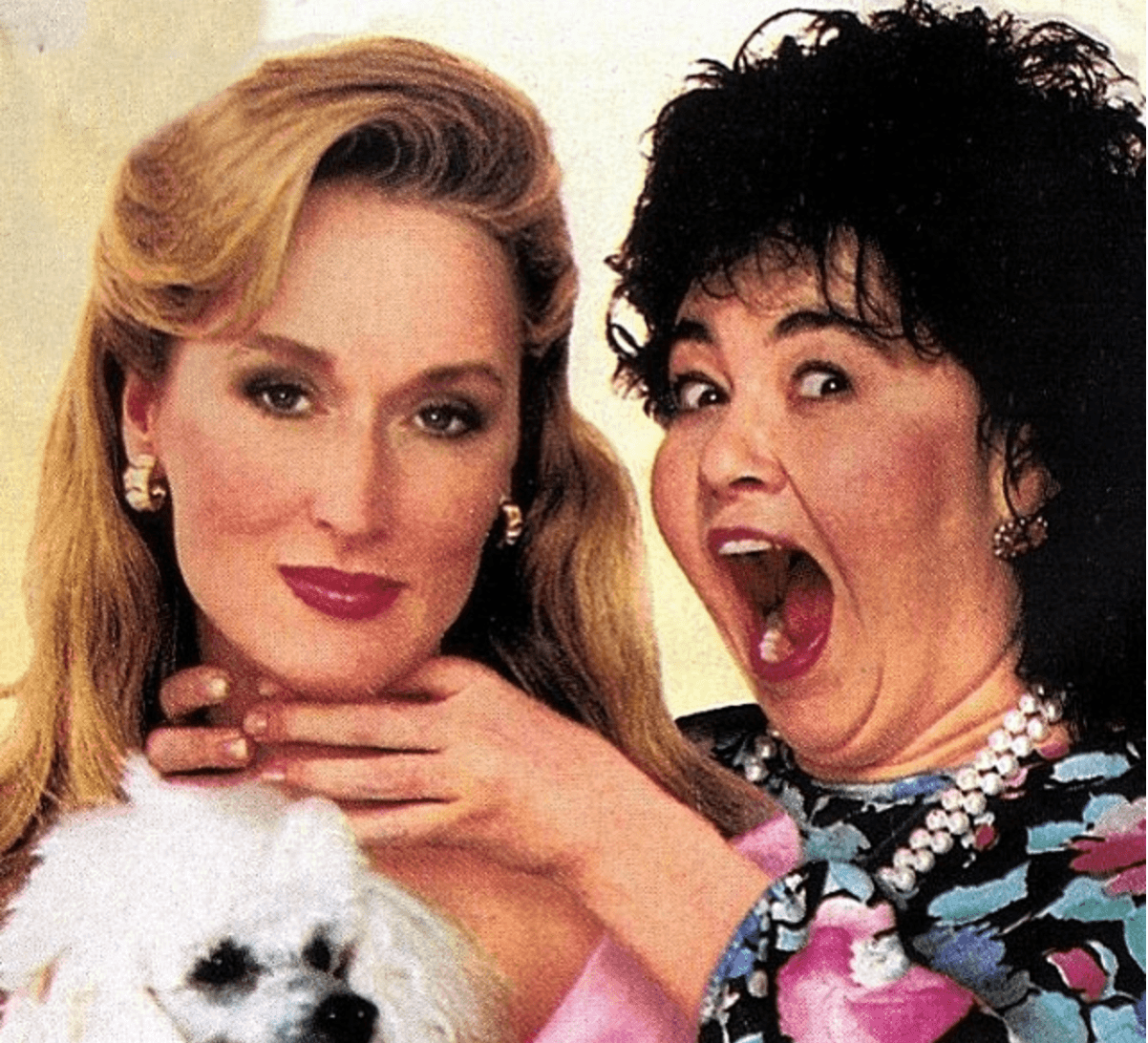 <b>Mary</b>
<br>En 'She Devil' (la segunda adaptación cinematográfica de la obra 'The Life and Loves of a She Devil' Streep interpetó a Mary, la antagonista de Ruth Patchet (
<a href="https://es.wikipedia.org/wiki/Roseanne_Barr">Roseanne Barr)</a>