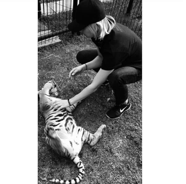 El lugar se llama Black Jaguar - White Tiger.