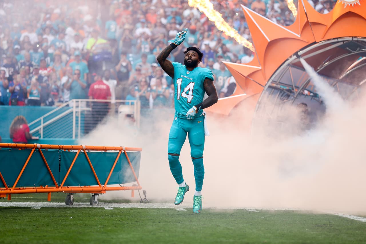 Miami Dolphins Jarvis Landry (14) during a game against the New England Patriots on January 1, 2017 in Miami Gardens, Florida. ( Tom DiPace via AP)