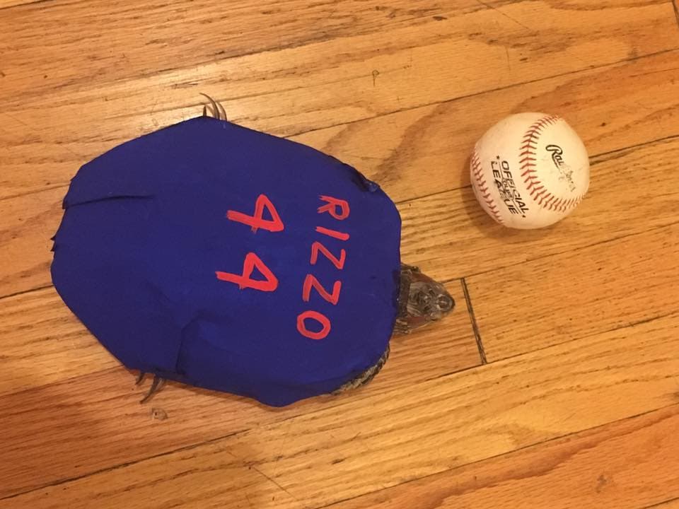 Fans de los Cus siguen enviando sus fotos para animar al equipo a dar el todo por el todo en el Clásico de Otoño.