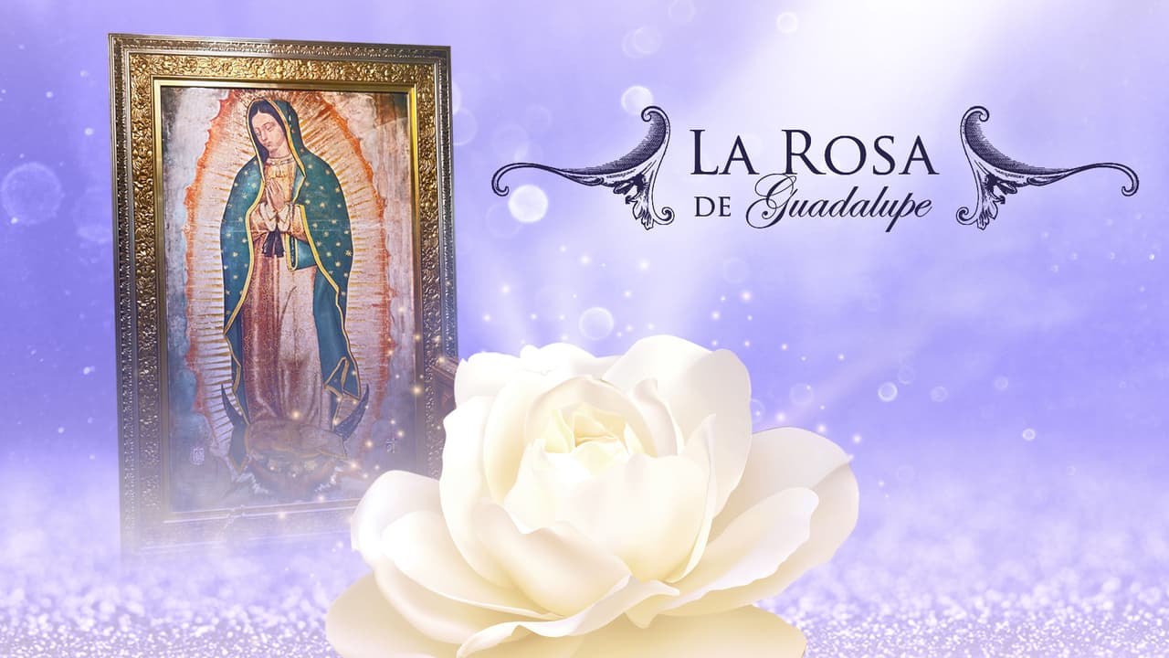 La Rosa de Guadalupe