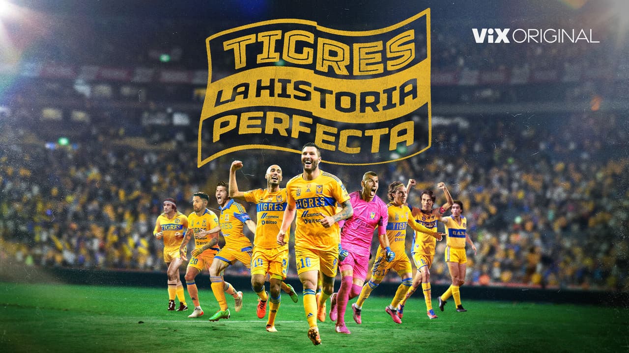 Tigres: La historia perfecta
