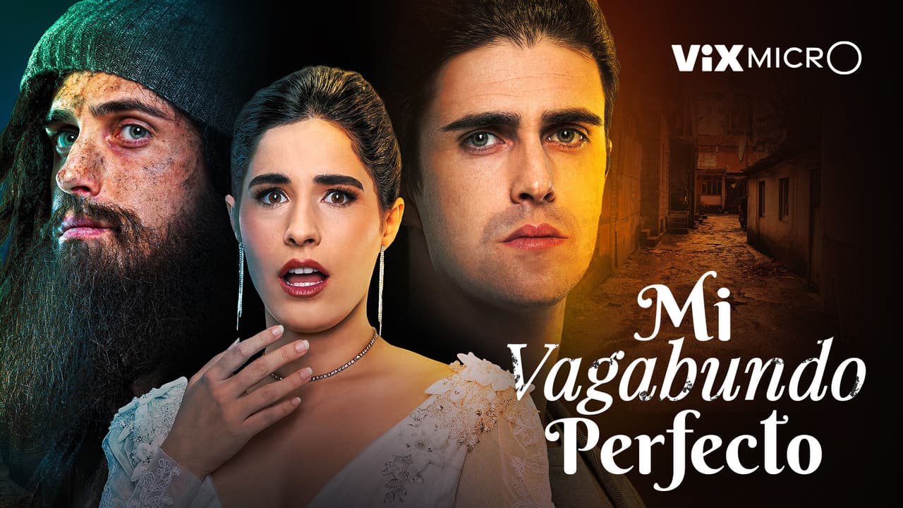 Mi vagabundo perfecto