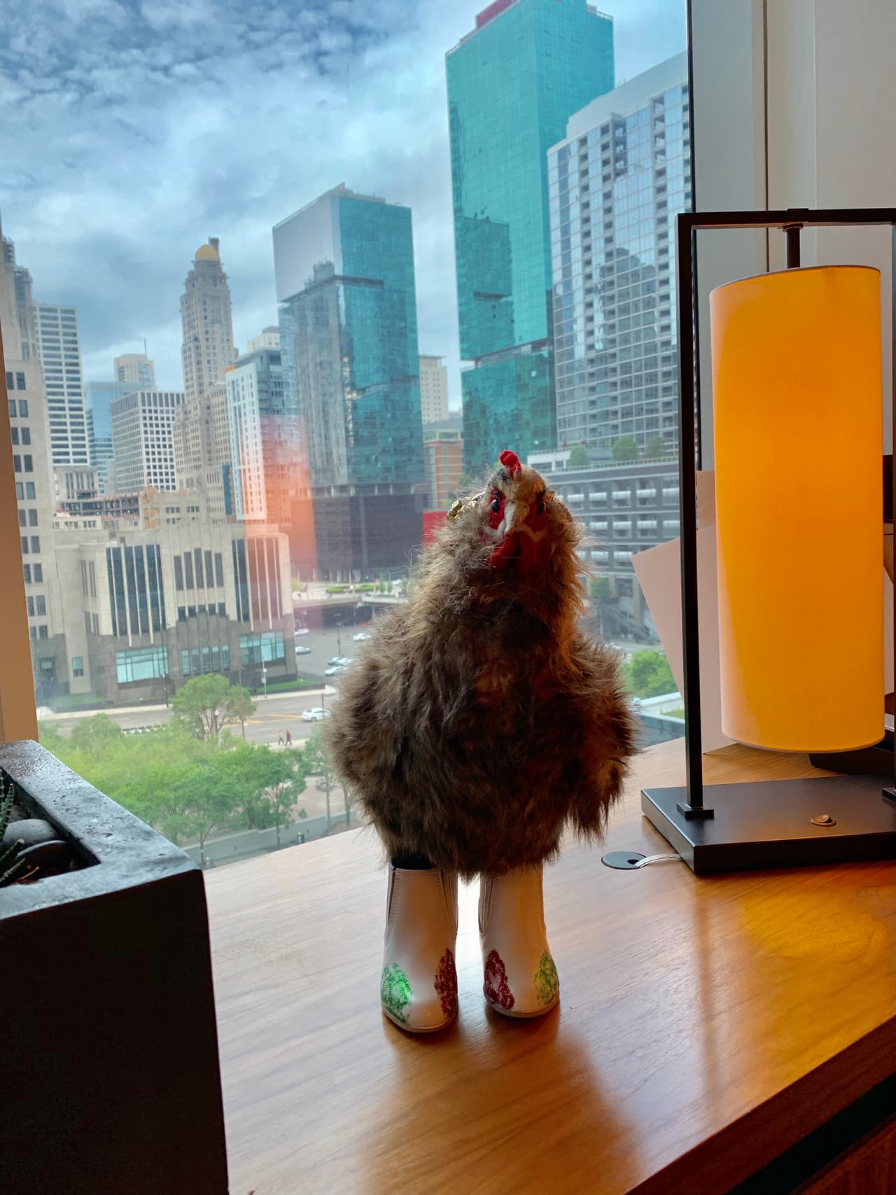 Hasta se puso sus botas tejanas...