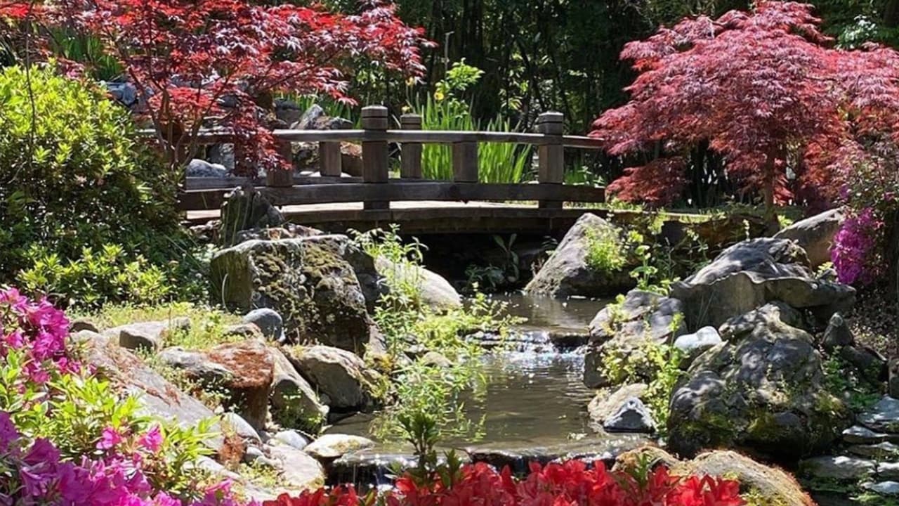 Ubicado en el parque Woodward Park y construido en 2015, el sitio de cinco acres es un excelente lugar para pasar las tardes de primavera en Fresno.