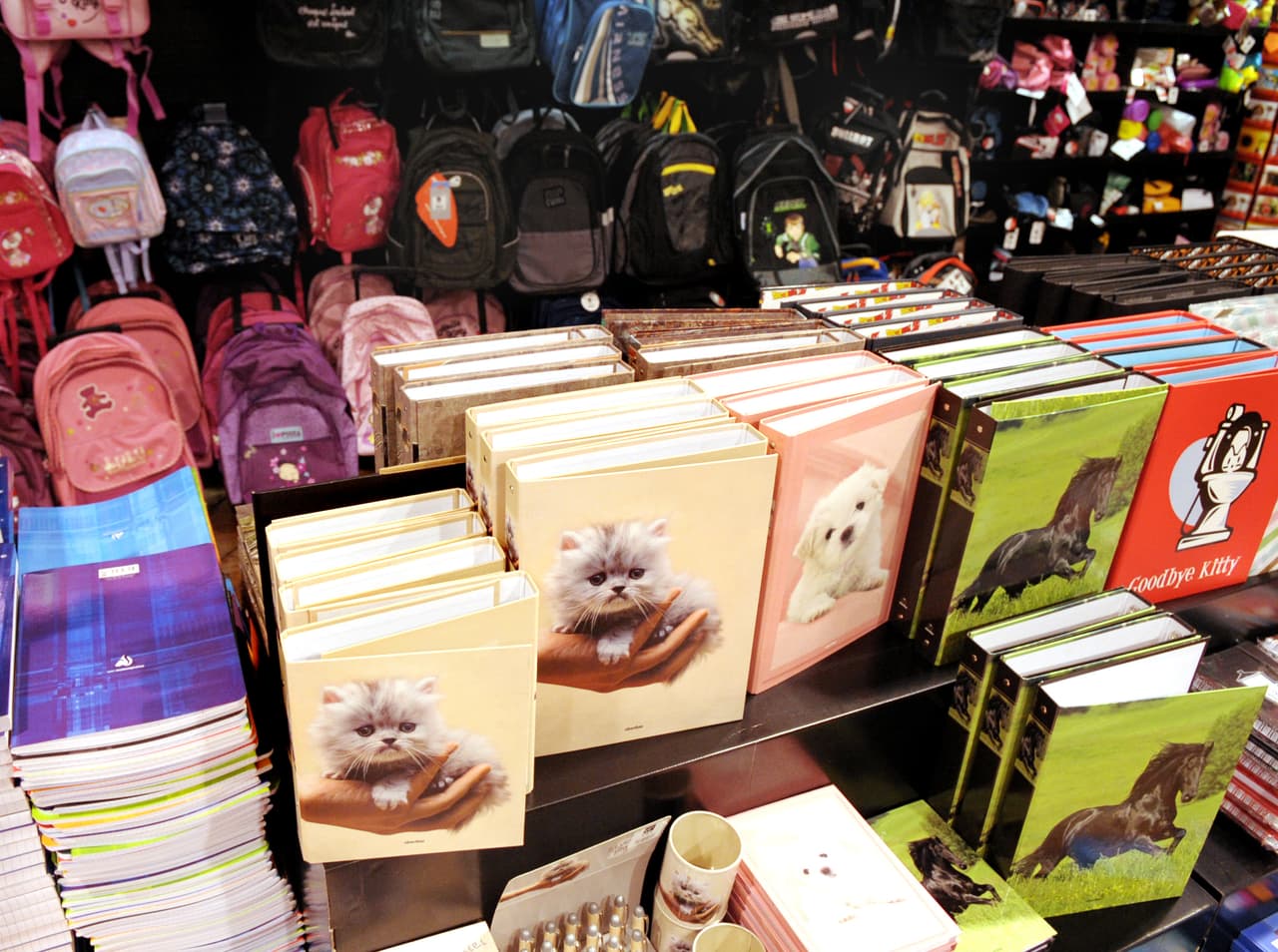 <b>También habrá orientación para solicitar SNAP, Medicaid y otros servicios; y registrarse y pogramar una cita con un médico de atención primaria CHW.</b>