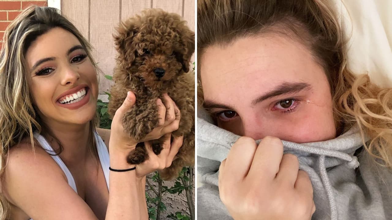 Lele Pons se metió para que un pitbull no atacara a su perro Toby.