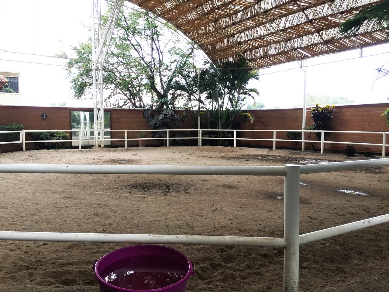 Quiso hacerlo distinto y añadió mucha vegetación alrededor. Además puso espejos para poder ver el trabajo del caballo y la postura del jinete.