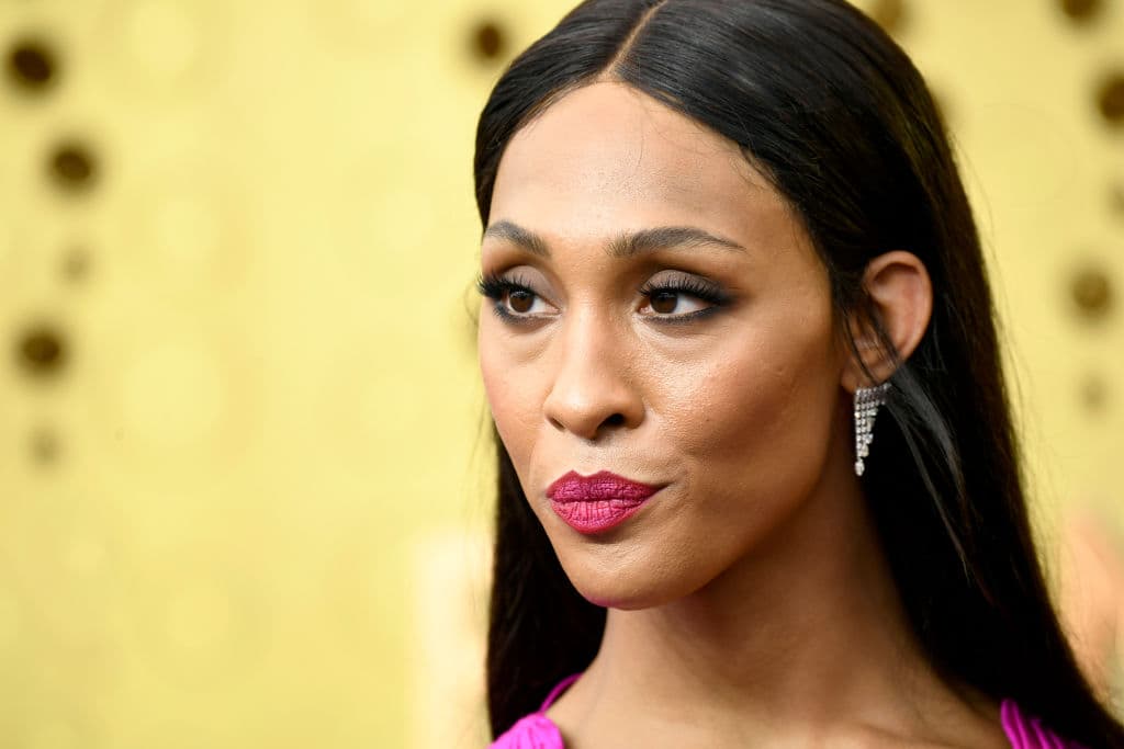 Las estrellas que aspiren a estos trofeos, pueden solicitar sus certificadso de nominación y las estatuas de los Emmy utilizando el término "intérprete" de género neutral.