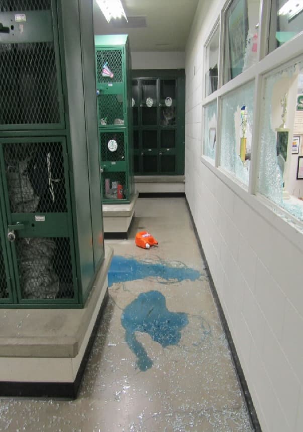 De acuerdo con las autoridades, adolecentes rompieron ventanas, puertas y vertieron detergente en el suelo. En total, su ola de crímenes durante la noche causó daños cerca de $35,000 dólares.
<br>