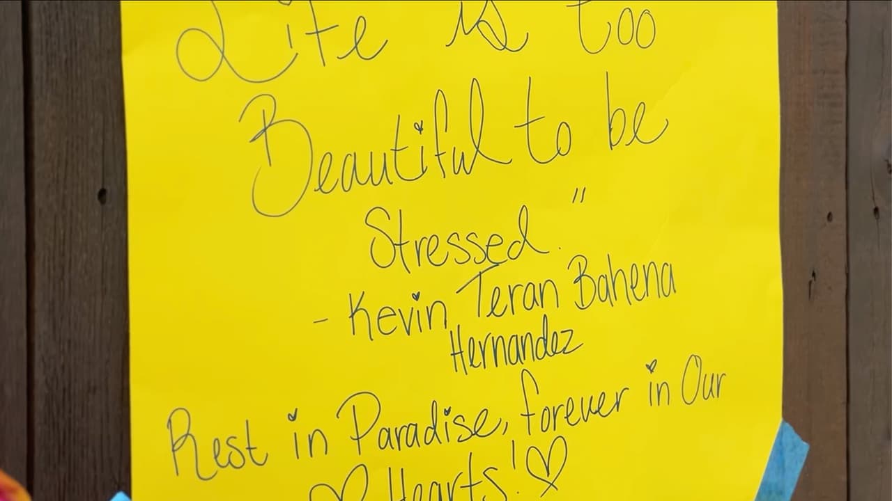 Por ahora, la Policía de Wheeling considera que 
<b>el exceso de velocidad e ignorar una señal de alto</b> fueron factores en el incidente. Sin embargo, la investigación aún no concluye.