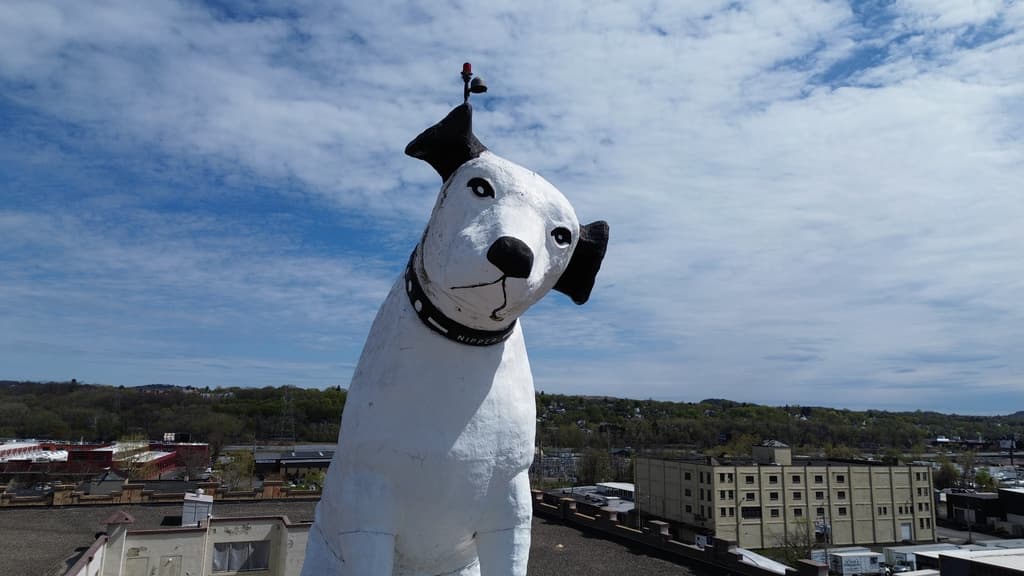 Nipper no ladra, ni muerde, pero está en riesgo tras casi 70 años en Albany, capital de Nueva York