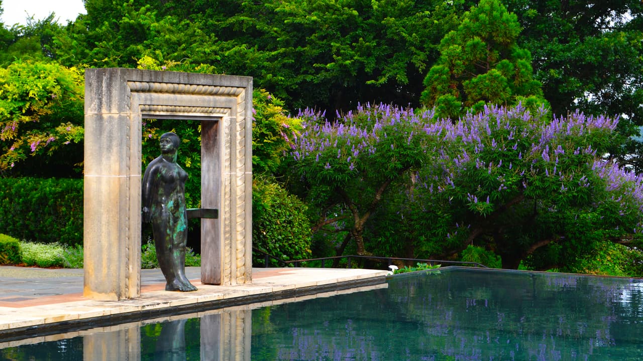 <b>Los visitantes pueden traer su propia comida y hacer un pícnic</b>, o comprarla en el lugar, ya que cuenta con Terrace Café, que ofrece sopas, ensaladas, sándwiches, aperitivos y refrescos.