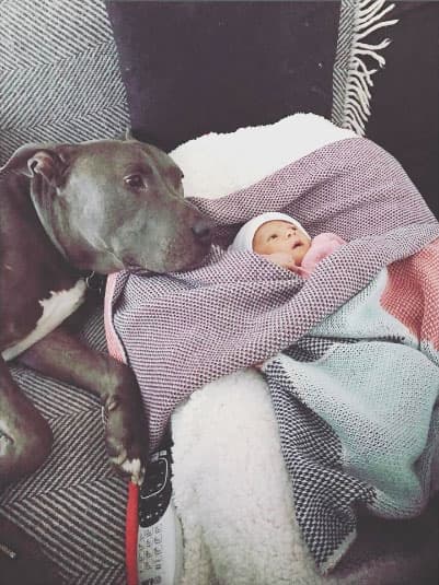 Recordemos que esta imagen causó polémica en redes sociales, pues muchos de sus seguidores criticaron a la actriz por dejar a su hija junto a su perro.