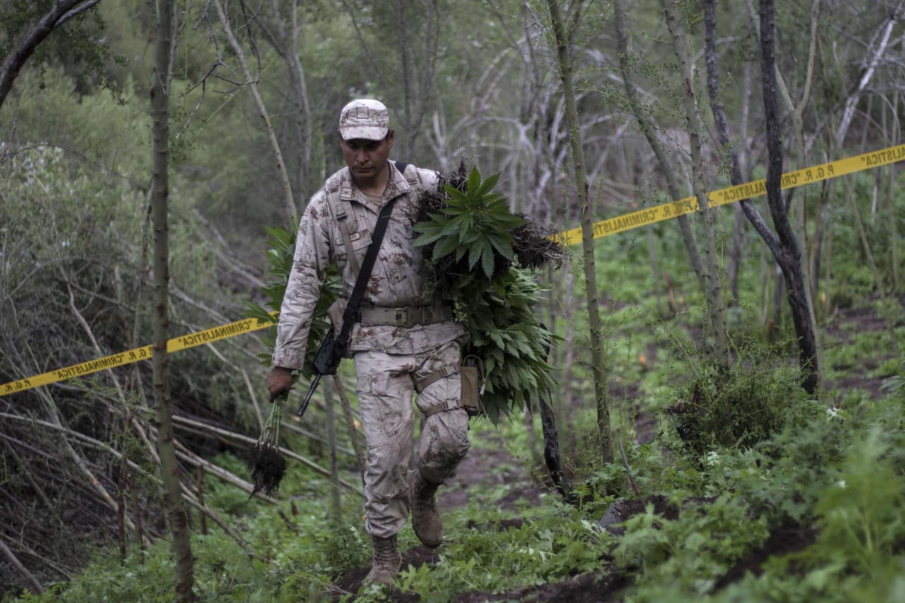 <b>Puesto 17. Ensenada, Baja California, México. 52,12 homicidios por cada 1,000 habitantes en 2019.</b> Esta ciudad de 527,000 habitantes tuvo 275 homicidios en 2019.
<br>
