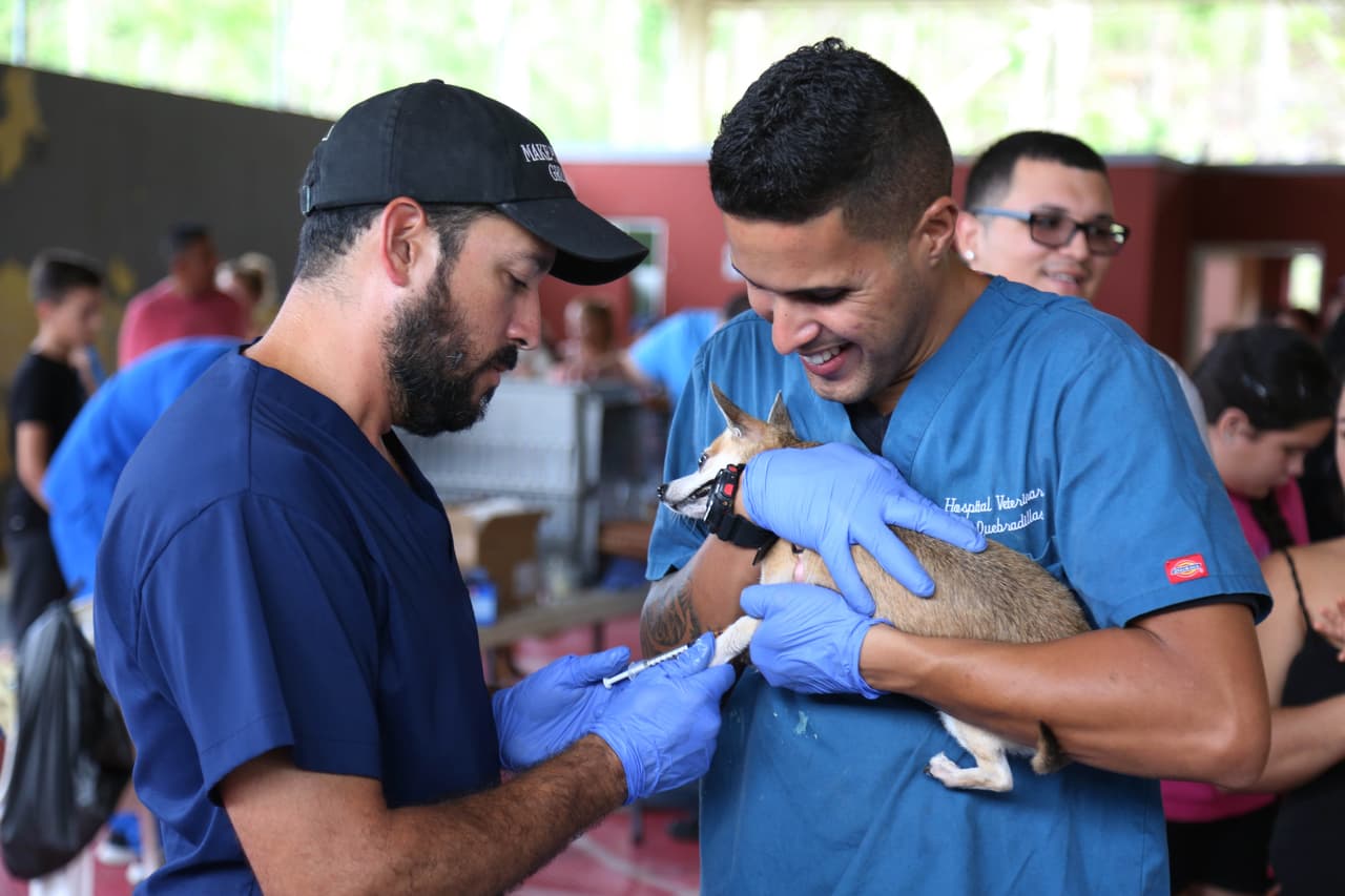 Los próximos dos meses estarán haciendo las ferias dominicales de vacunación, que incluyen las vacunas contra la rabia y el suministro de pastillas de protección de gusanos en el corazón.