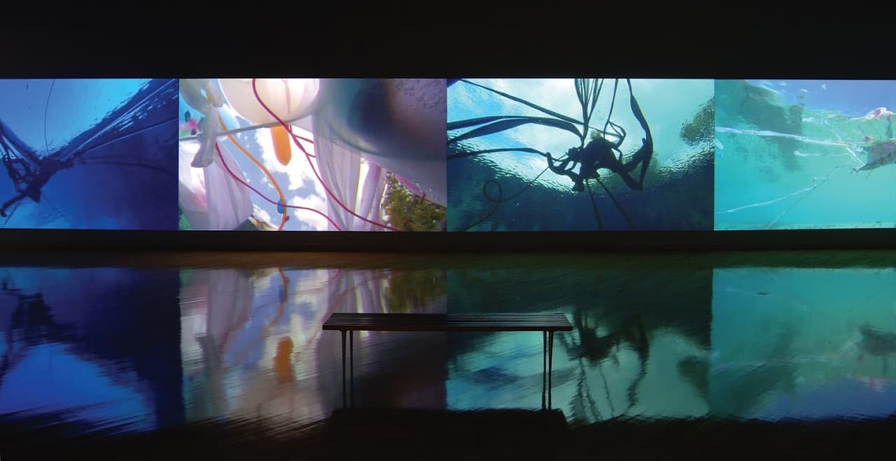 <h3 class="cms-H3-H3">SUPERFLEX: This Is The Tip Of The Iceberg</h3>
<br>Esta exhibición explora la necesidad que tiene la existencia humana de convivir con otras especies de animales en nuestro planeta. 
<br>
<br>Lunes- viernes: 12- 6:00pm, sábado 12:00-4:00pm
<br>
<br>
<a href="https://www.tampabay.com/life-culture/entertainment/calendar/#!/show?search=Harbor+Hall+Gallery&format=all" target="_blank">Harbor Hall Gallery:</a>
<br>1000 Third St. St. Petersburg, FL
<br>
<br>Gratis