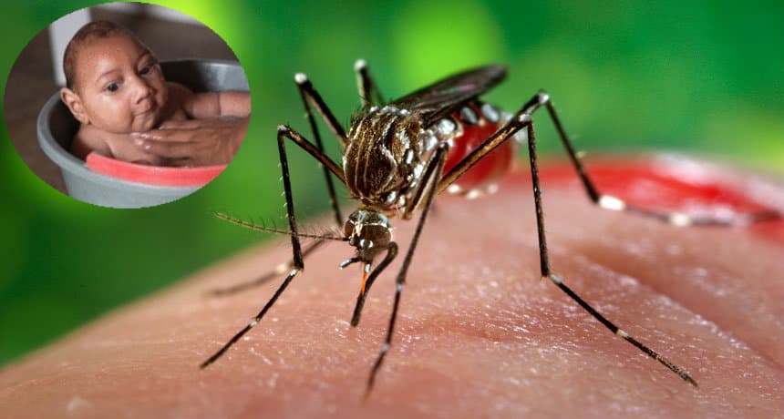 Epidemiólogo pide “una guerra” ante “emergencia nacional”