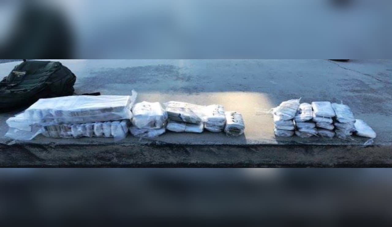 Se calcula que la droga decomisada equivale a millones de dólares.